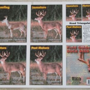 Deer Grunt Call - CCW Hunting Calls