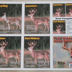 Aging Whitetail Deer Teeth Chart