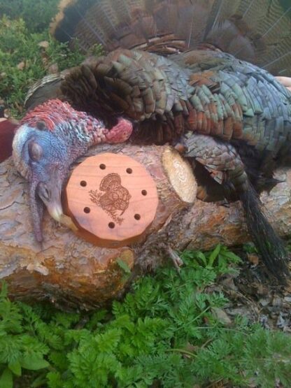 Turkey Friction Pot Calls - Image 7
